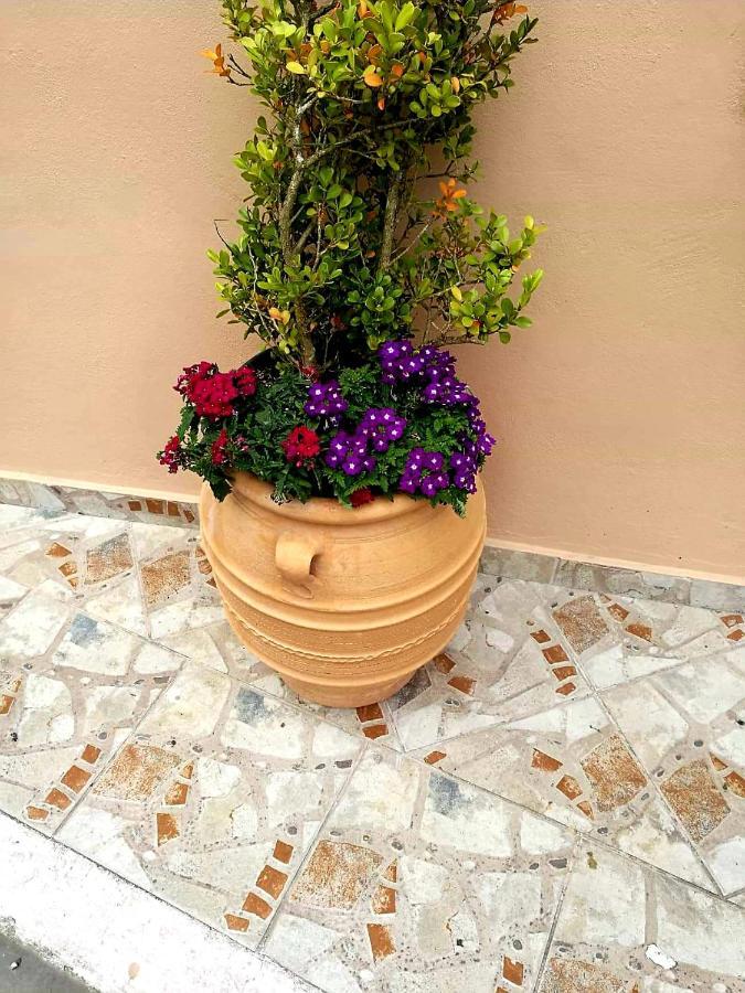 Joy New Port Studio Corfu Town Exteriör bild